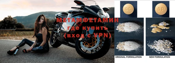 прущие грибы Протвино
