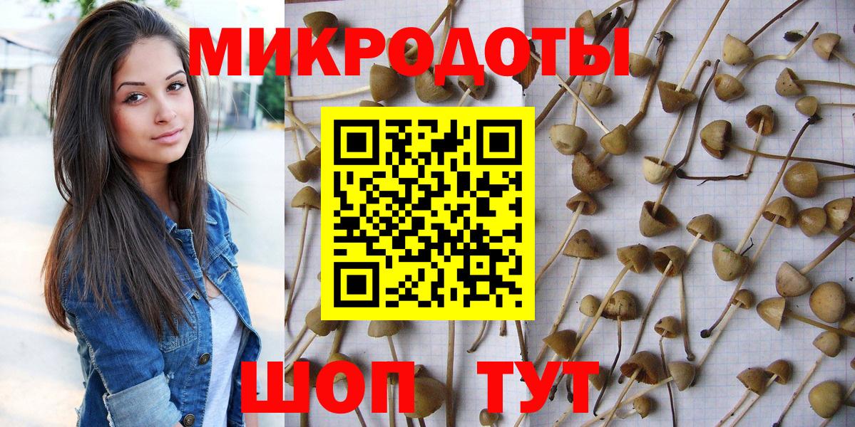 Рассказово  Псилоцибиновые грибы MAGIC MUSHROOMS  Галлюциногенные грибы Magic Shrooms  Вход с VPN 
